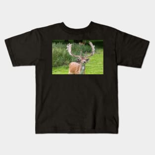 Fallow Deer with Antlers Kids T-Shirt